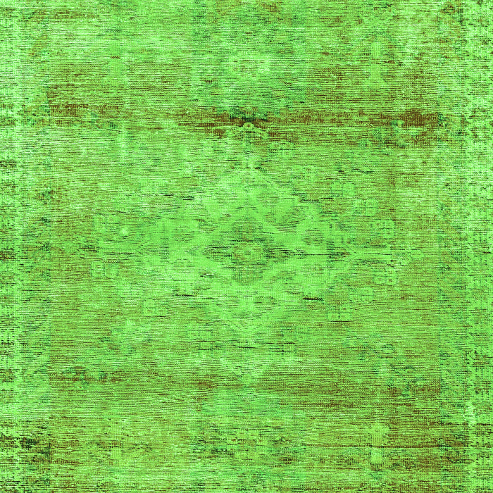Medallion Green Traditional Rug, tr3779grn