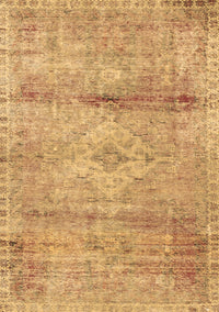 Medallion Brown Traditional Rug, tr3779brn