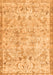 Persian Orange Traditional Rug, tr3780org