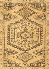 Persian Brown Traditional Rug, tr3782brn