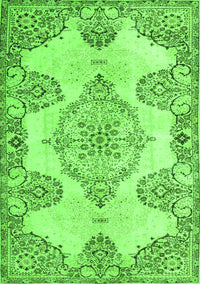 Medallion Green Traditional Rug, tr3784grn