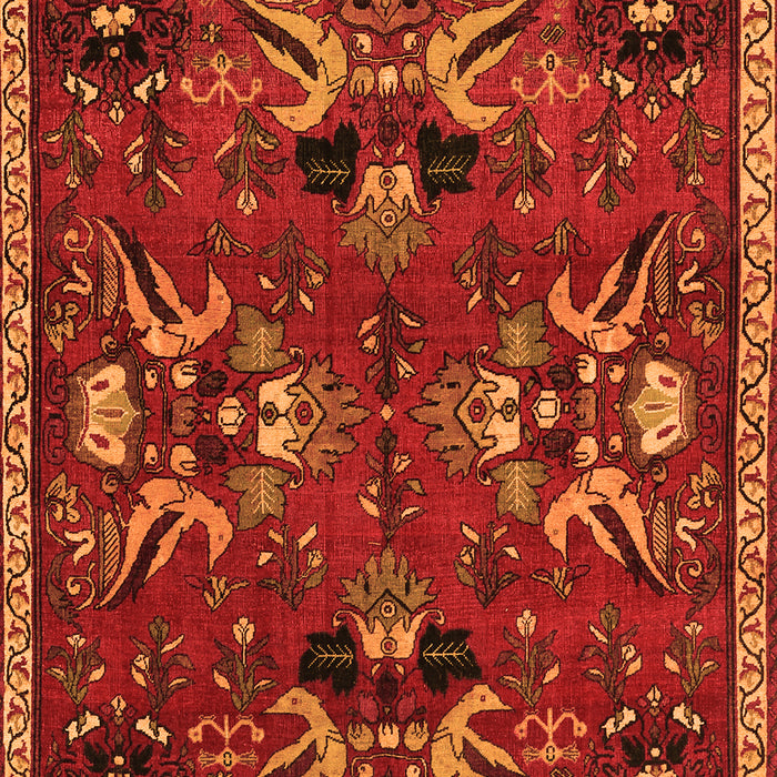 Serging Thickness of Machine Washable Animal Orange Traditional Area Rugs, wshtr3785org