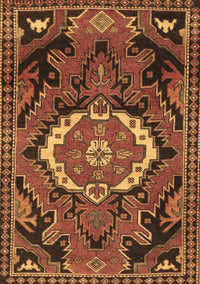 Medallion Brown Traditional Rug, tr3786brn