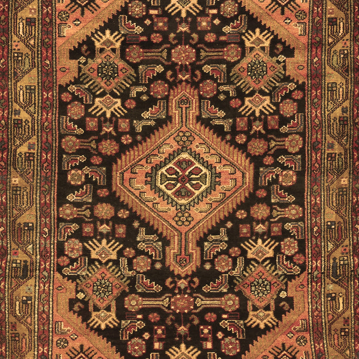 Persian Brown Traditional Rug, tr3787brn