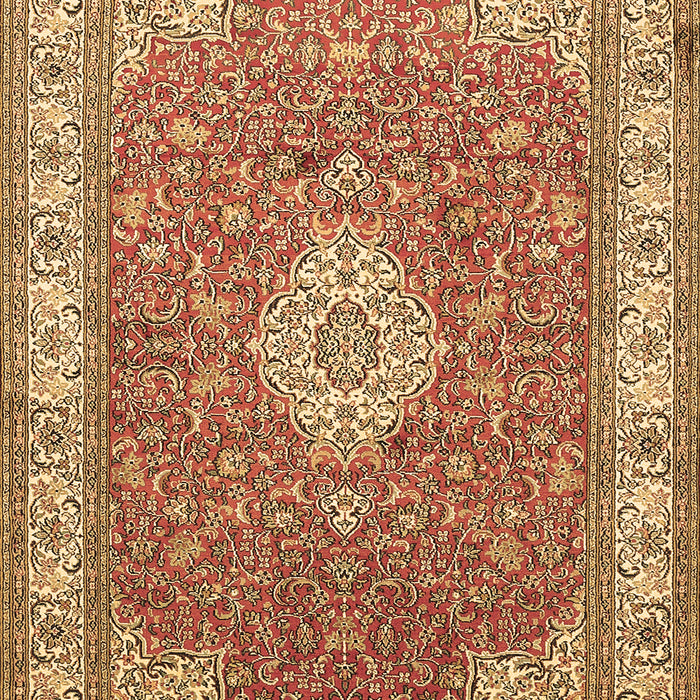 Medallion Brown Traditional Rug, tr378brn