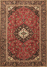 Medallion Brown Traditional Rug, tr3794brn