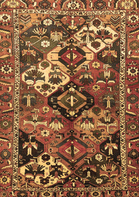 Persian Brown Traditional Rug, tr3797brn