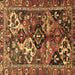 Square Persian Brown Traditional Rug, tr3797brn