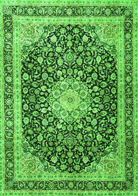 Persian Green Traditional Rug, tr3800grn