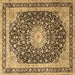 Square Persian Brown Traditional Rug, tr3800brn