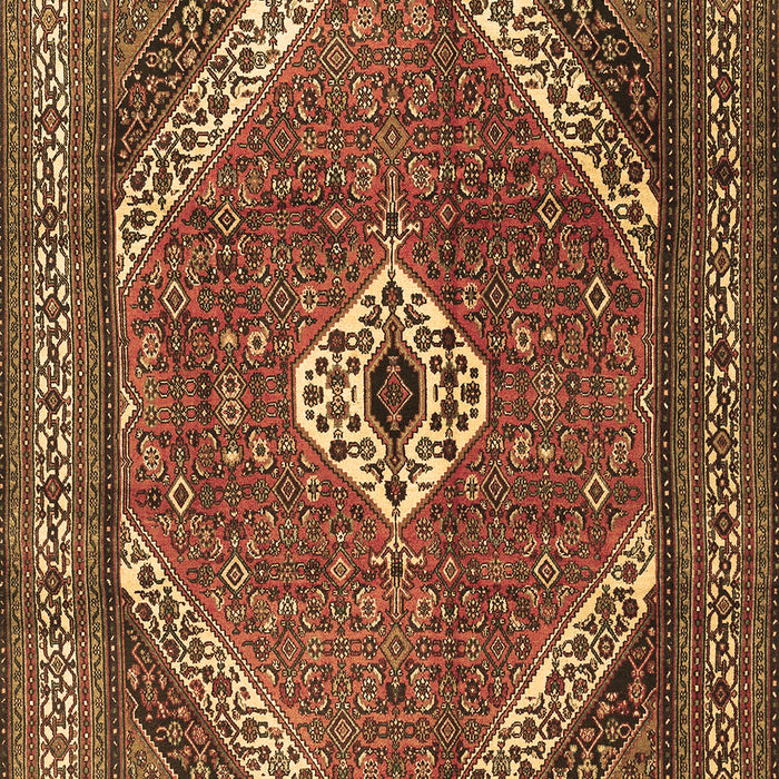 Machine Washable Persian Brown Traditional Rug, wshtr3802brn