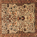 Square Persian Brown Traditional Rug, tr3804brn