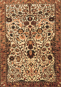 Persian Brown Traditional Rug, tr3804brn