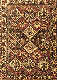Persian Brown Traditional Rug, tr3806brn