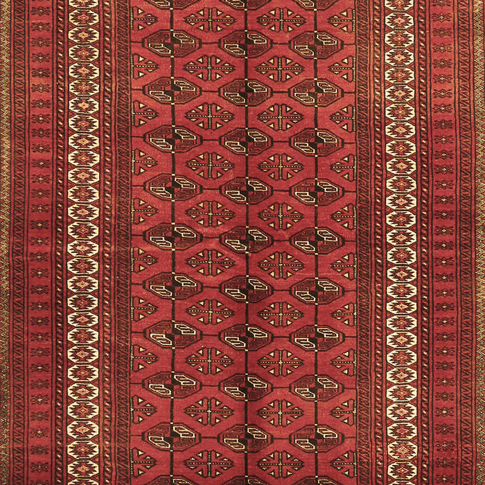 Machine Washable Persian Brown Traditional Rug, wshtr3808brn