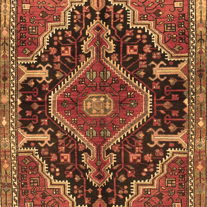 Persian Brown Traditional Rug, tr3809brn