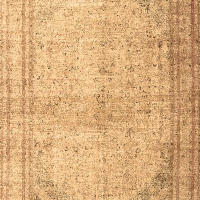 Persian Brown Traditional Rug, tr3810brn