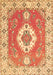 Medallion Brown Traditional Rug, tr381brn