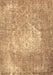 Persian Brown Traditional Rug, tr3828brn