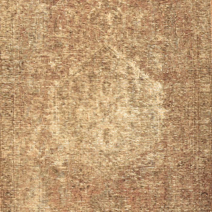 Persian Brown Traditional Rug, tr3828brn