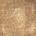 Square Persian Brown Traditional Rug, tr3828brn