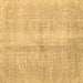 Square Persian Brown Traditional Rug, tr3829brn