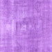 Square Machine Washable Persian Purple Traditional Area Rugs, wshtr3830pur