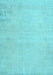 Persian Light Blue Traditional Rug, tr3831lblu