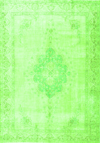 Persian Green Traditional Rug, tr3832grn