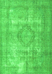 Persian Green Traditional Rug, tr3838grn