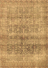 Persian Brown Traditional Rug, tr3839brn