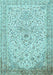 Persian Light Blue Traditional Rug, tr383lblu