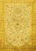 Machine Washable Persian Yellow Traditional Rug, wshtr383yw