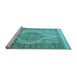 Sideview of Machine Washable Persian Light Blue Traditional Rug, wshtr3840lblu
