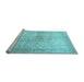 Sideview of Machine Washable Persian Light Blue Traditional Rug, wshtr3841lblu