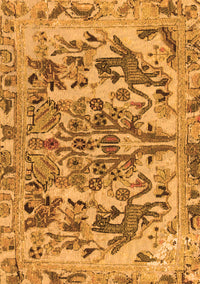 Animal Orange Traditional Rug, tr3845org