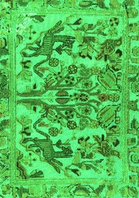 Animal Green Traditional Rug, tr3845grn