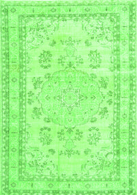 Persian Green Traditional Rug, tr3848grn