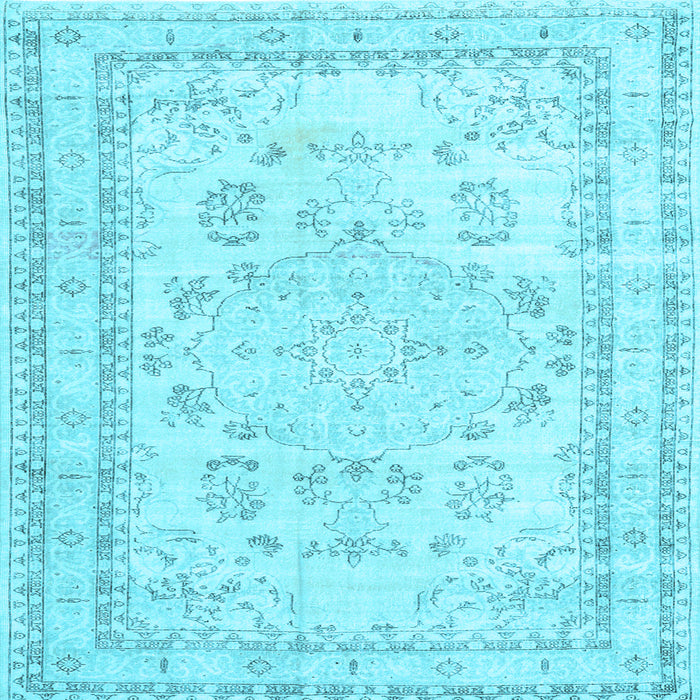Square Persian Light Blue Traditional Rug, tr3848lblu
