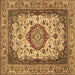 Square Medallion Brown Traditional Rug, tr384brn