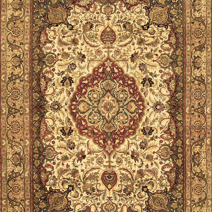 Medallion Brown Traditional Rug, tr384brn