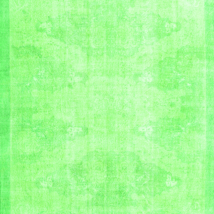 Persian Green Traditional Rug, tr3852grn