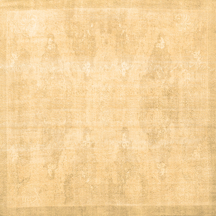 Square Persian Brown Traditional Rug, tr3852brn