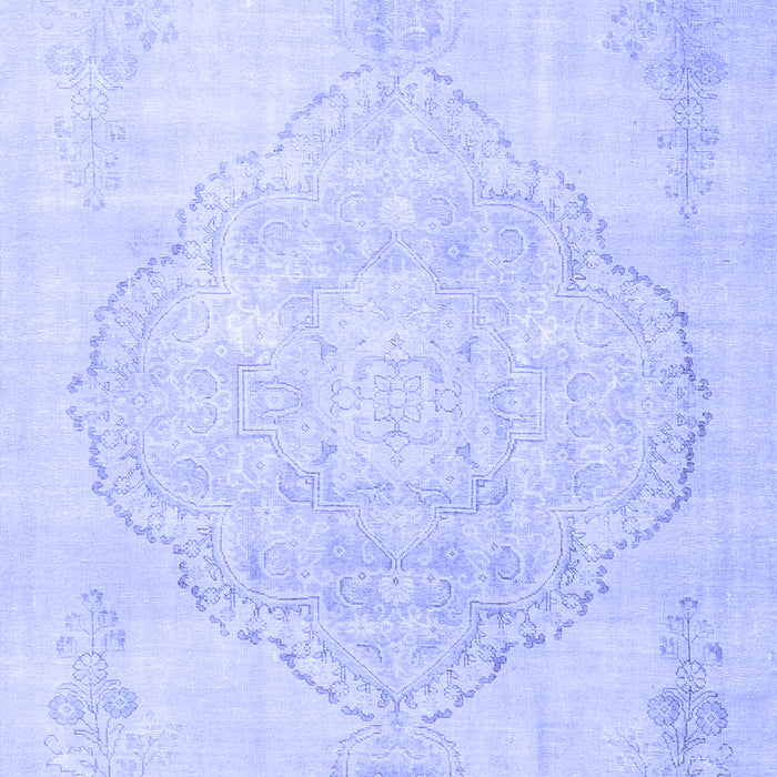 Persian Blue Traditional Rug, tr3857blu