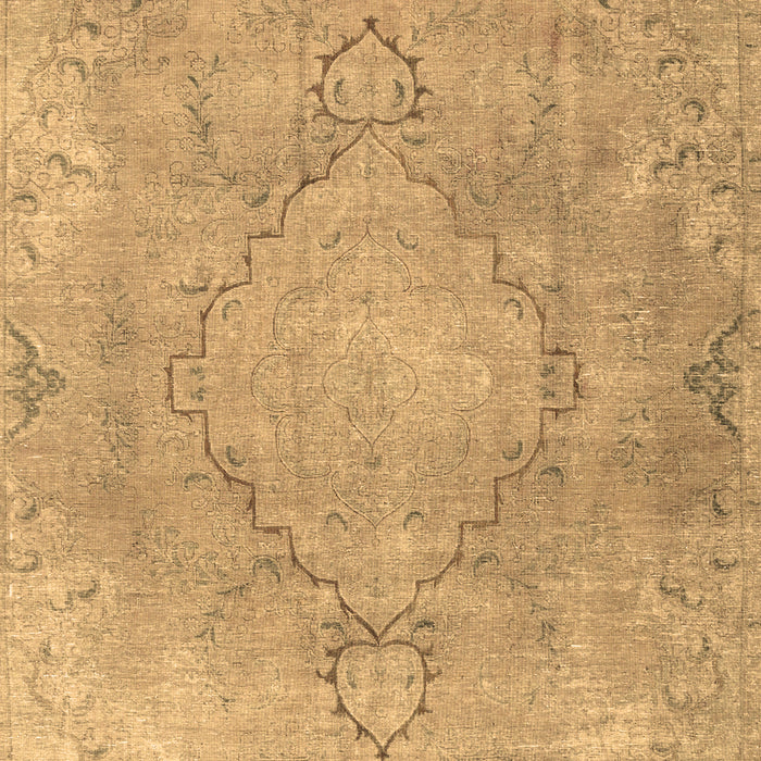 Persian Brown Traditional Rug, tr3858brn
