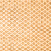 Serging Thickness of Trellis Orange Modern Rug, tr3860org