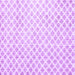 Square Trellis Purple Modern Area Rugs, wshtr3860pur