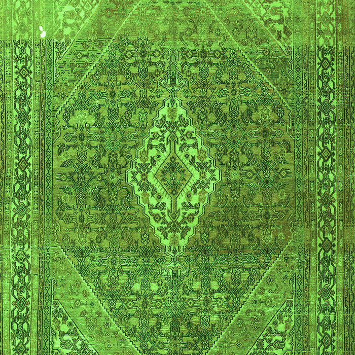 Medallion Green Traditional Rug, tr3861grn