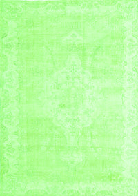 Persian Green Traditional Rug, tr3862grn