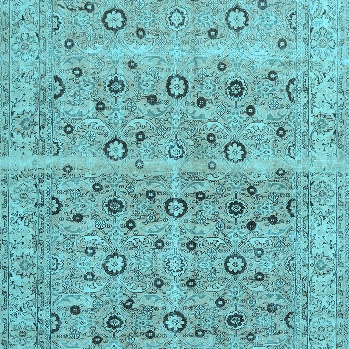 Machine Washable Persian Light Blue Traditional Rug, wshtr3867lblu